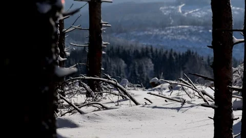 Beatiful nature in winter 4k 25fps video Stock-Footage 326413162