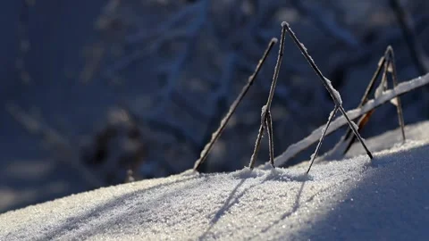 Beatiful nature in winter 4k 25fps video Stock-Footage 326413298