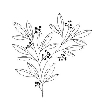 Beatiful plant branch Ilustração Stock