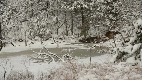 Beatiful Pond in the Winter  Stock Footage 297508148