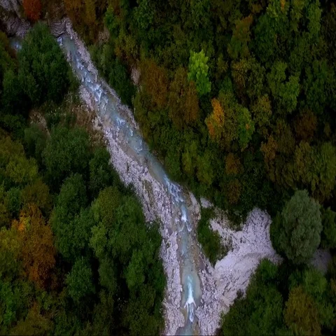 Beatiful river in forest Stock Footage 69550771