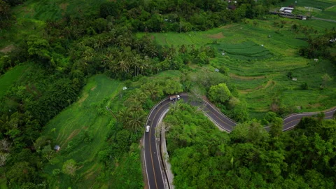 A beatiful roadway in the jungle Stock Footage 294689709