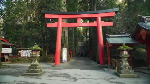 Beatiful Shrine torii gate Stock Footage 131131374