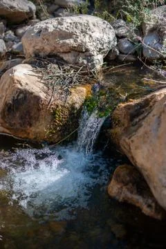 A Beatiful small cascade in a water stream(river) 2 库存照片
