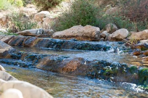 A Beatiful small cascade in a water stream(river) 4 库存照片