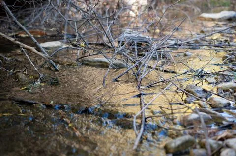 A Beatiful small cascade in a water stream(river) with stones and branches 库存照片