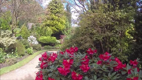 Beatiful, Spring Garden Video stock 107441273