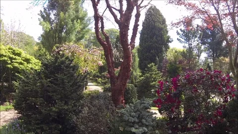 Beatiful, Spring Garden Video stock 107441497