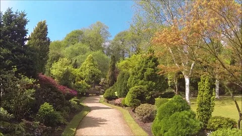 Beatiful, Spring Garden Video stock 107441960