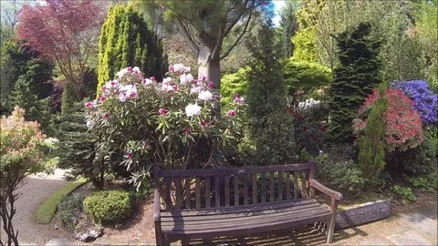 Beatiful, Spring Garden Video stock 107443254