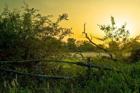 Beatiful sunset in the countryside Stock Photos
