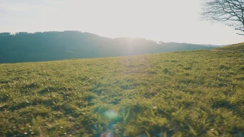 Beatiful Sunset over Field on a Countryside | Golden Hour | HD Stock Footage 88478491