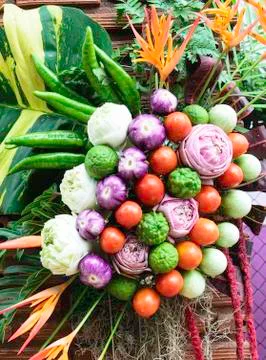 Beatiful vegetable Stock Photos