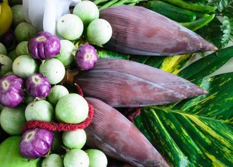 Beatiful vegetable Stock Photos