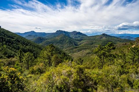 A beatiful view in the Esterel mountains Stock Photos