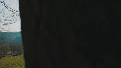 Beatiful View over Austrian Countryside and Village | HD Stock Footage 88317406