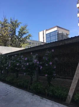 Beatiful view Foto stock