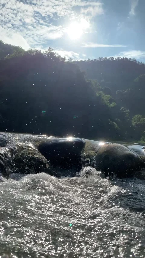 Beatifull morning in River Video stock 246023481