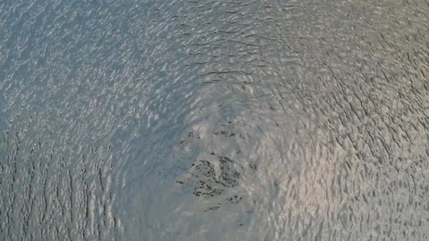 Beatifull view drone reflected in the water Stock Footage 115710943