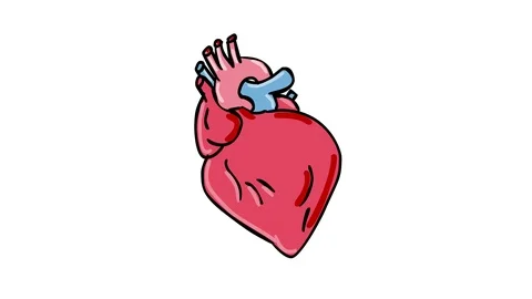 Heart Animation Cartoon Stock Video Footage | Royalty Free Heart Animation  Cartoon Videos | Pond5