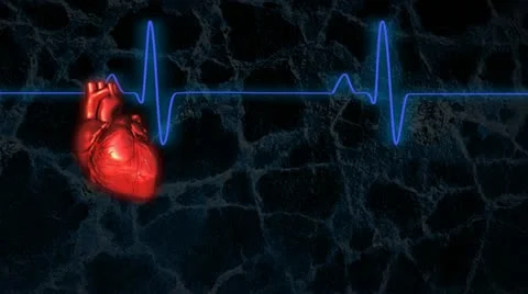 Beating heart with EKG Loopable Stock Footage 11057264