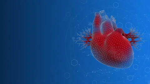 Beating Heart Loop Stock Footage 219324008