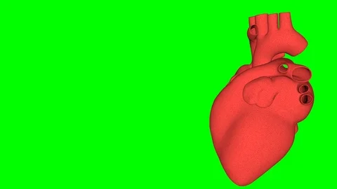Beating human heart with green screen and copy-space for text. Stock Footage 95700699