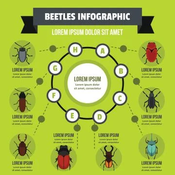 Beatles infographic concept, flat style Stock Illustration