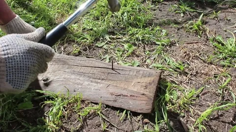 Beats out the old nails from the boards and pulls them with a hammer Stock Footage 79305829