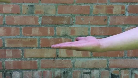 Beats Palm on Palm Stock Footage 78783522