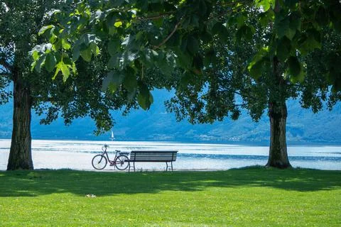 Beatuiful park with an empty bench and a bicycle at the Swiss shore of Lac Leman Stock Photos