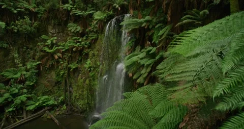 Beauchamp Falls In Lush Forest Of Australia, 8K Video stock 332183145