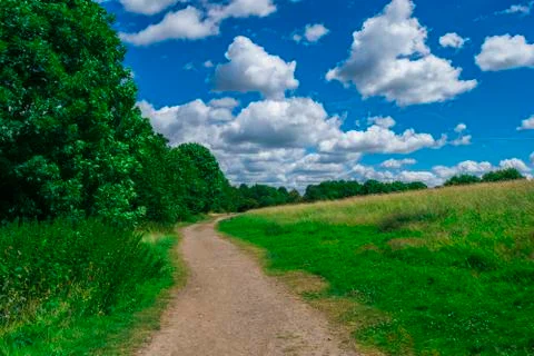 Beauiful park landscape with cloudy sky Stock Photos