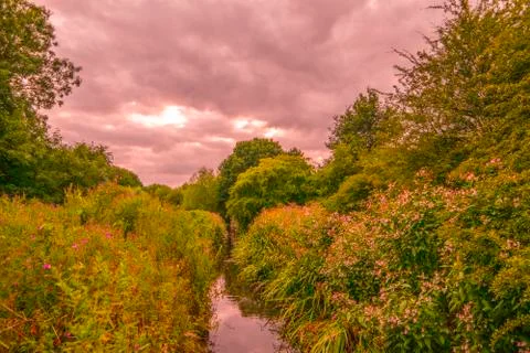 Beauiful park landscape with cloudy sky Stock Photos