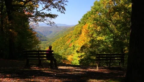 A beauiful view Stock Footage 8830839