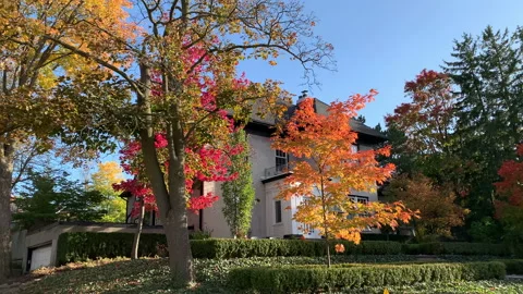 Beauitful Fall House Architecture Building Landscape, Red Yellow Orange Season Stock Footage 150678191