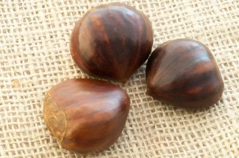 Beauitful macro of chestnut in jute background Stock Photos