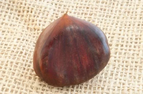 Beauitful macro of chestnut in jute background Stock Photos