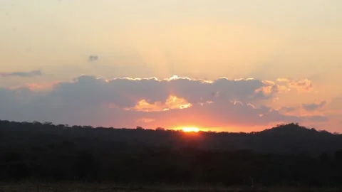 Beautfull sunset in the forest Stock Footage 162233846