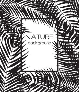 Beautifil Palm Tree Leaf  Silhouette Background Vector Illustrat Stock Illustration