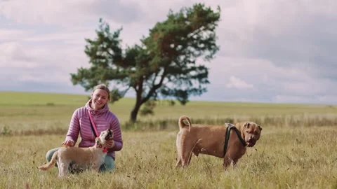 A beautiful 30-year-old blonde woman in a purple jacket pets a Maltese dog, whil Stock Footage 287917036