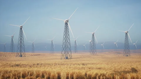 Beautiful 3D animation of a large number of wind turbines in a field on a su Stock Footage 155879295