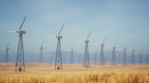 Beautiful 3d animation of a large number of wind turbines in a field on a su Stock Footage 155883529