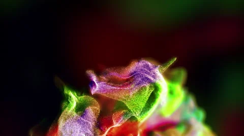 Beautiful 3D particle animation, looping Stock Footage 65025513