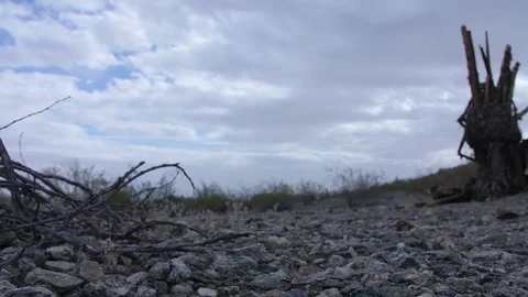 Beautiful 4K Desert Timelapse Stock Footage 84913004