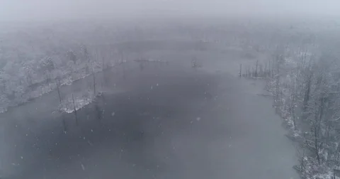 Beautiful 4k drone shot of pine forest with snow falling. Stock Footage 83876411