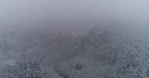 Beautiful 4k drone shot of pine forest with snow falling. Stock Footage 83876676