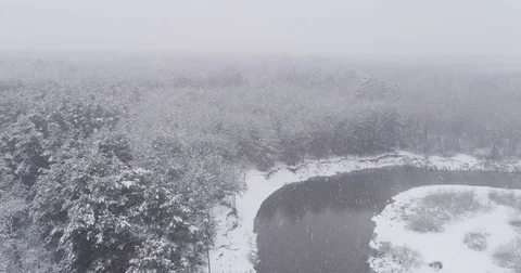 Beautiful 4k drone shot of pine forest with snow falling. Stock Footage 83882870