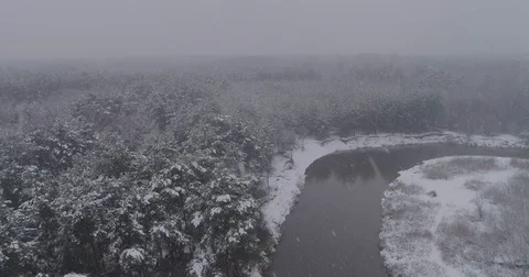 Beautiful 4k drone shot of pine forest with snow falling. Stock Footage 83883286