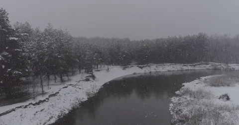 Beautiful 4k drone shot of pine forest with snow falling. Stock Footage 83883545